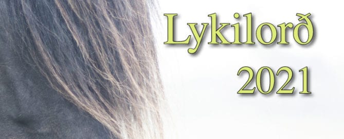 Lykilorð 2021