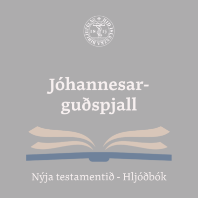 Jóhannesarguðspjall - hljóðbók