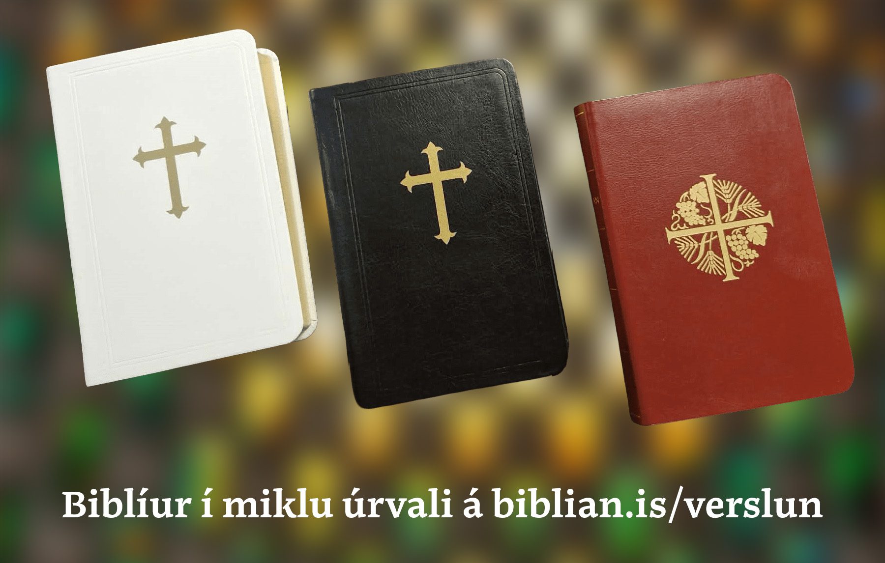 Hægt er að kaupa Biblíuna í verslun Biblíufélagsins á https://www.biblian.is/verslun